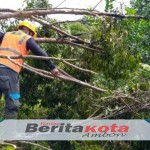 PLN UIW M2U Percepat Pemulihan Listrik di Ambon Akibat Cuaca Ekstrem