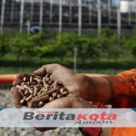 Ajang PLN Journalist Awards 2025 Dibuka, Apresiasi untuk Pewarta Penggerak Literasi Energi Nasional